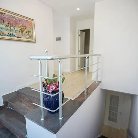 The Pine Grove * Golem (Tirana)