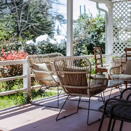 The Pine Grove Dom wakacyjny *