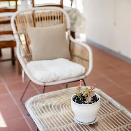 Dom wakacyjny The Pine Grove Golem (Tirana)